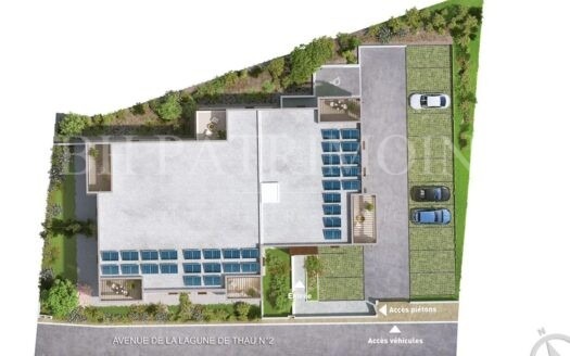 « Perle » Marseillan